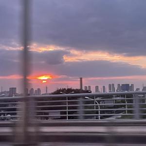 老头老太性爱另类在线
